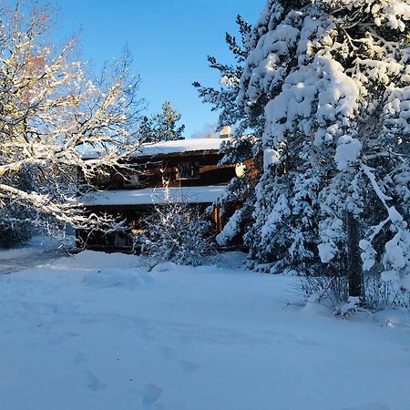 Kibuvitsa Holiday House Muratsi Extérieur photo